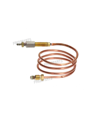 THERMOCOUPLE BERTOS 22286910
