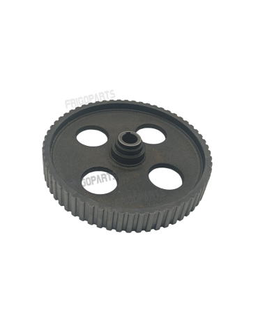 PIGNON REF 25MA/56 SPAR FOOD