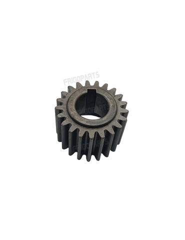 PIGNON 60MA/47 SPAR FOOD...
