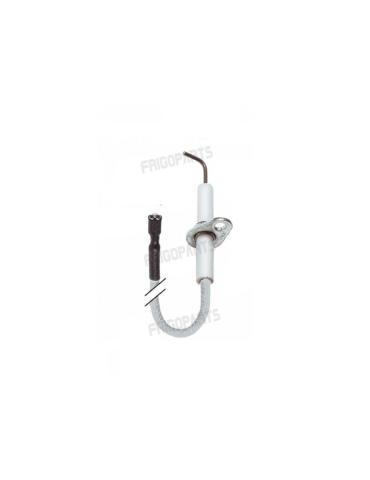 BOUGIE REF 337001 TORNATI A...