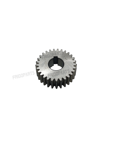 ENGRENAGE REF 40MA/101 SPAR...