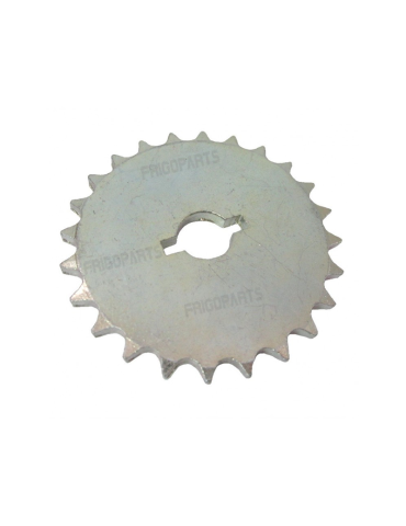 PIGNON DIAM 76/24 DENTS...