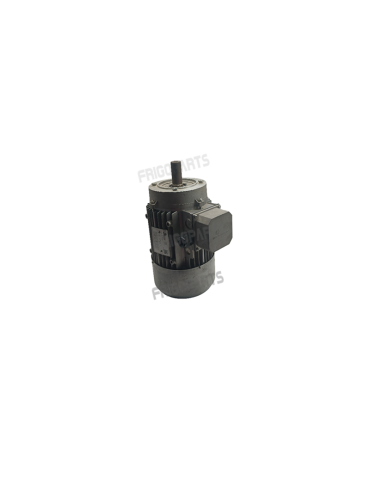 MOTEUR PETRIN TRIPHASE A 2...