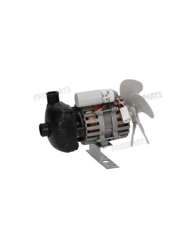 POMPE REF-23068  BREMA